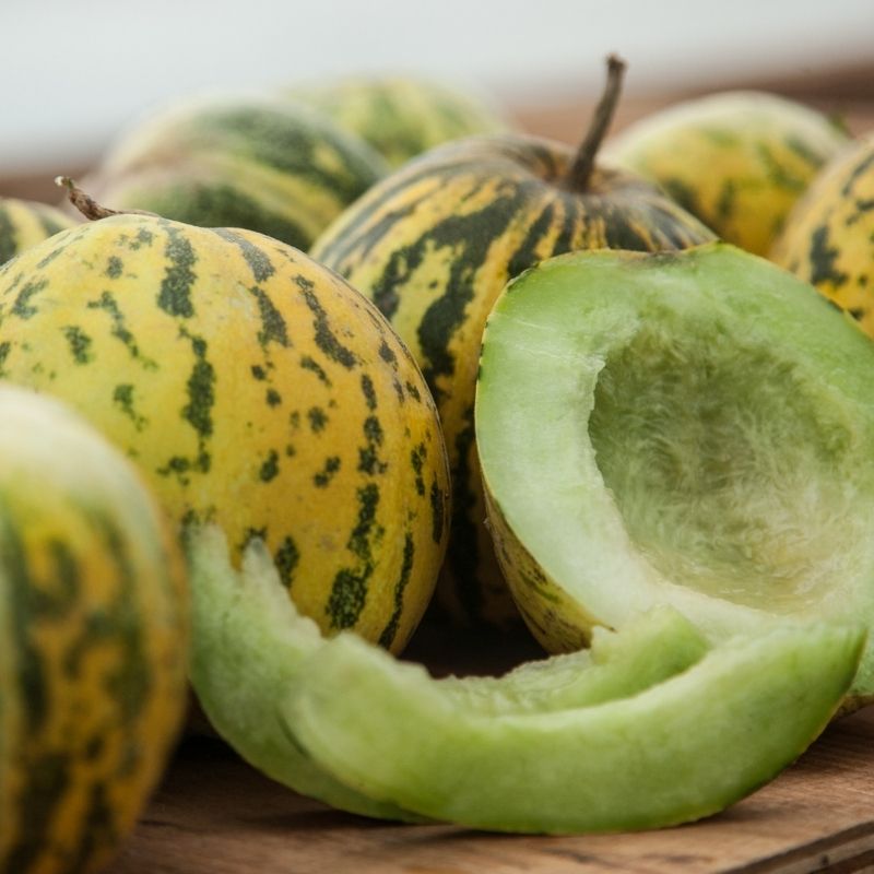 Melon 1